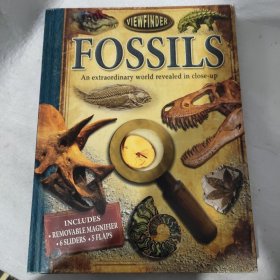 Viewfinder: Fossils 视觉大发现：化石