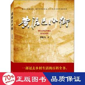 黃泥巴小街 中國(guó)現(xiàn)當(dāng)代文學(xué) 李光飛