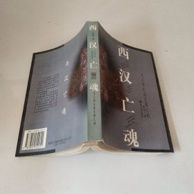 中国文化史探秘丛书(第二辑)-西汉亡魂