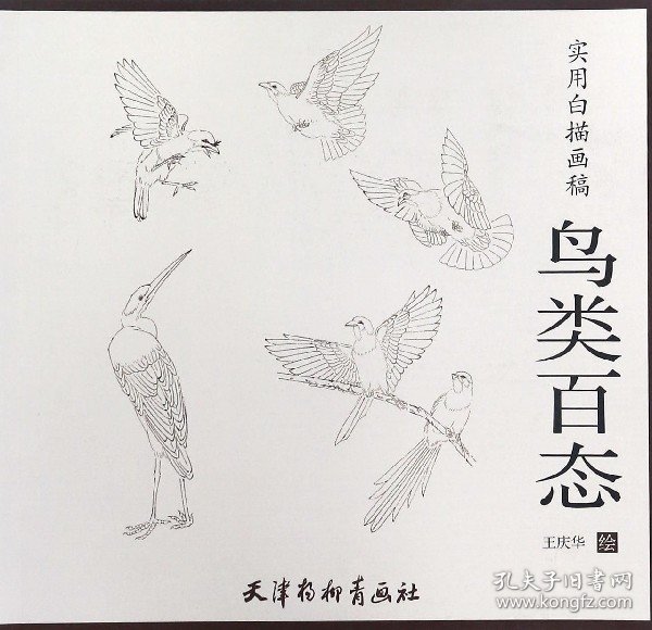 实用白描画稿：鸟类百态