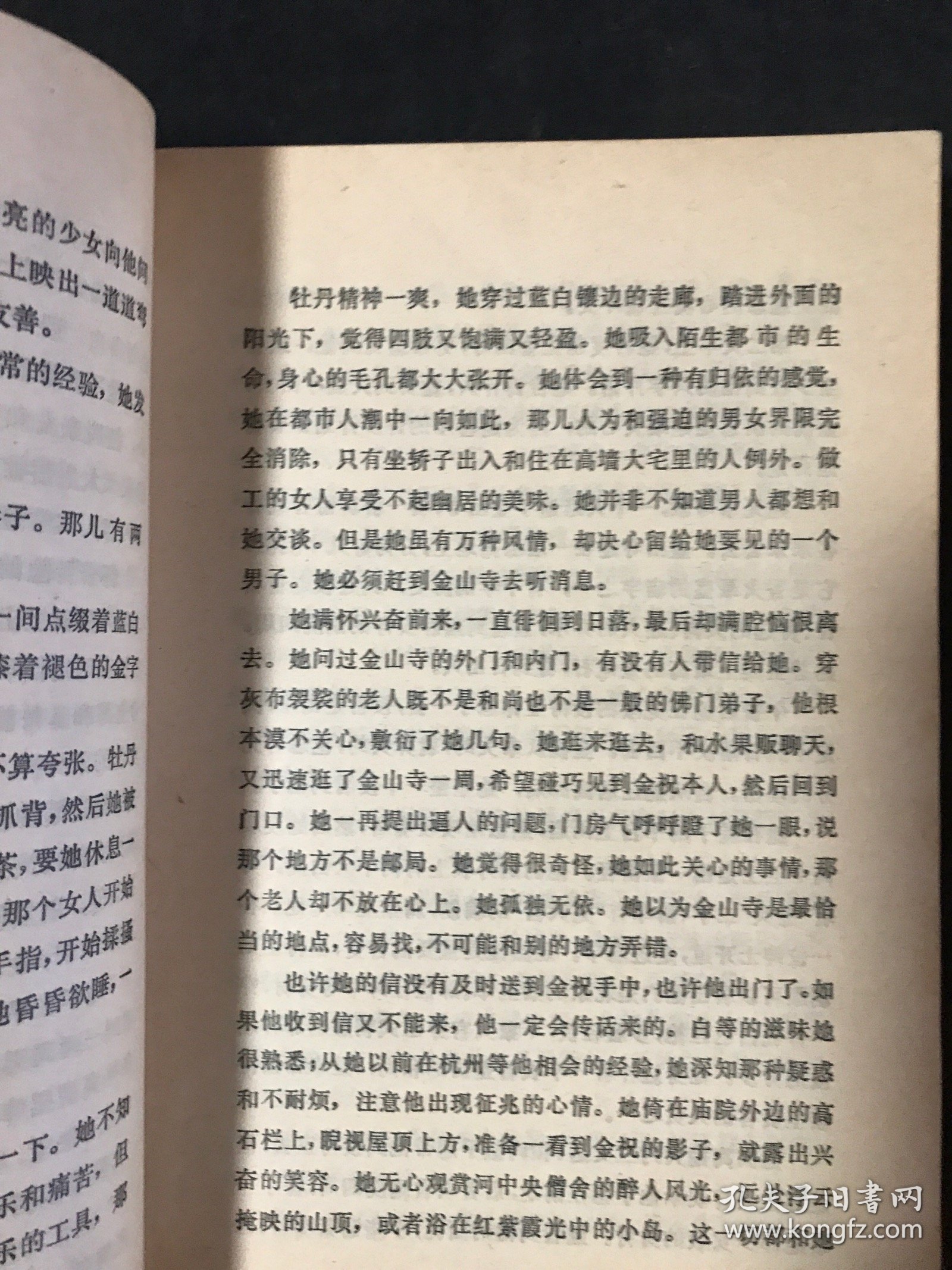 红牡丹