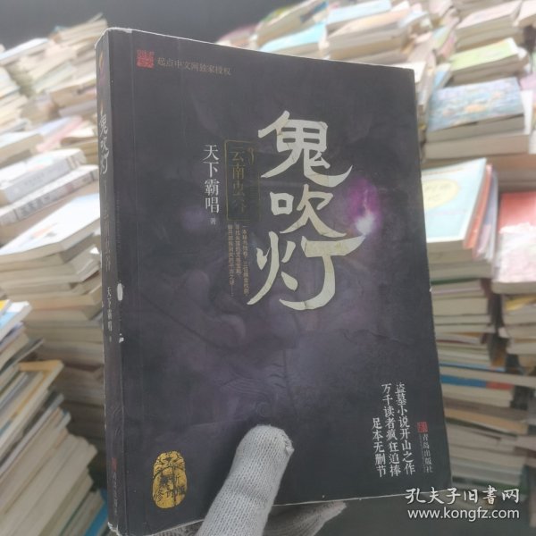 鬼吹灯3：云南虫谷