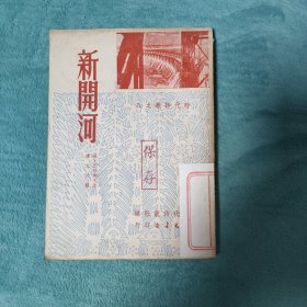 时代诗丛之八――新开河 （仅2000册，很有收藏价值）