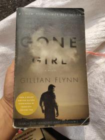 Gone Girl：A Novel