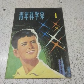 青年科学家(第1期)