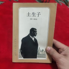 土生子 二十世纪外国文学丛书
