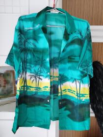 海南岛文化收藏热带风情半袖衬衣一件。