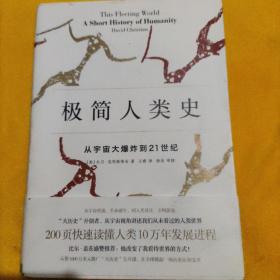 极简人类史：从宇宙大爆炸到21世纪