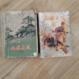 山林支队（上下）