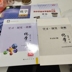 高中化学必修 第二册 高中学业水平指导方案化学