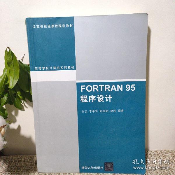 FORTRAN 95程序设计（高等学校计算机系列教材）