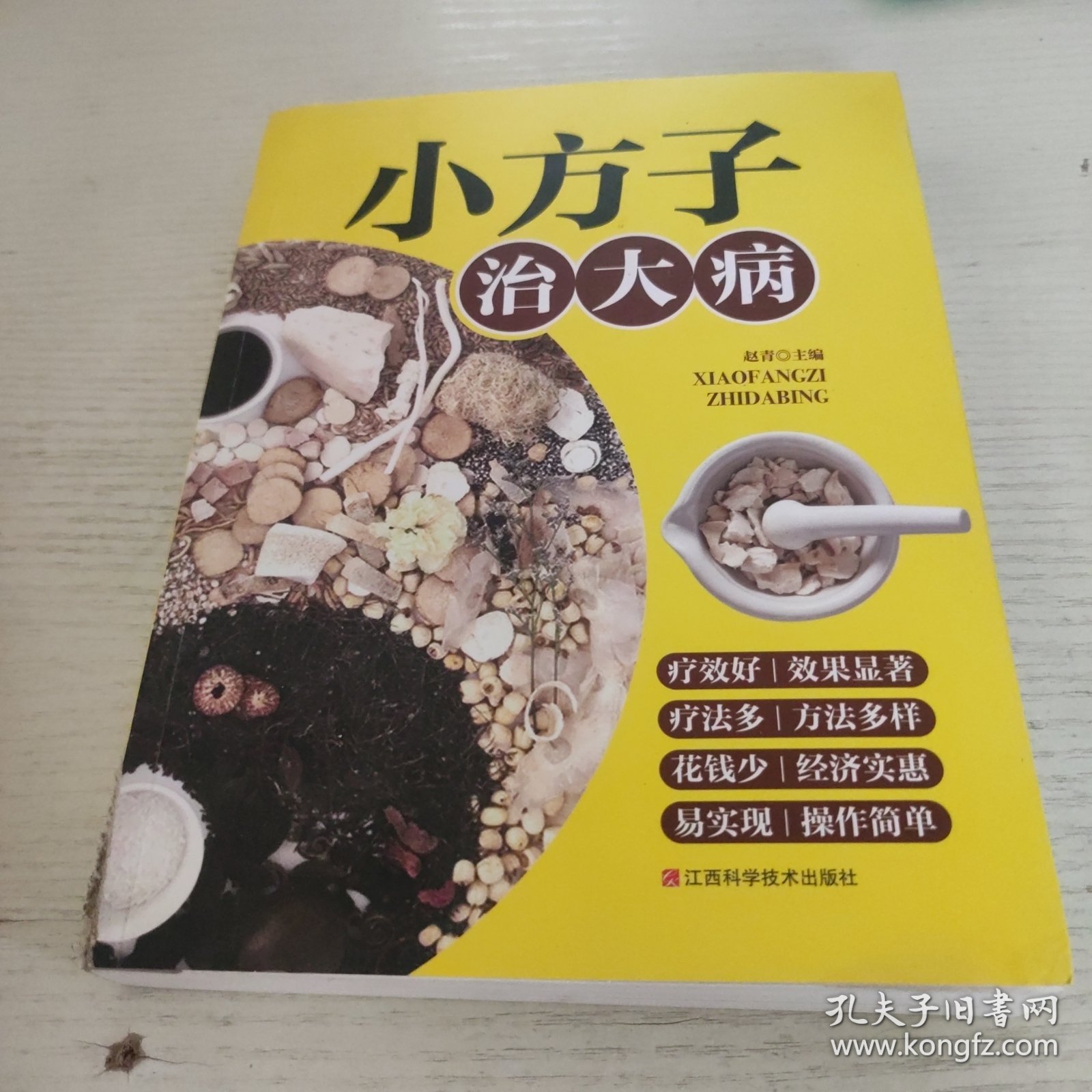 小方子治大病 中医书籍养生偏方大全民间老偏方美容养颜常见病防治 保健食疗偏方秘方大全小偏方老偏方中医健康养生保健疗法