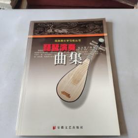 琵琶演奏曲集——民族器乐学与练丛书
