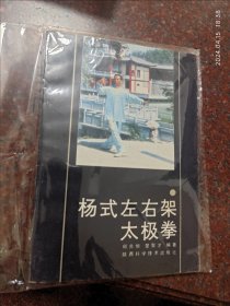 杨氏左右架太极拳 杨式左右架太极拳 邱兆恒、楚聚才，92年25