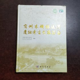 宿州木牌坊运河遗址考古发掘报告