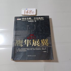 鹰隼展翼2：角斗士