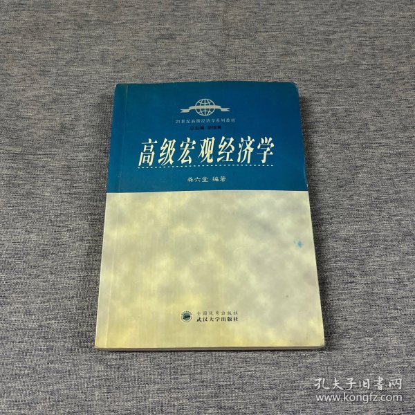 高级宏观经济学/21世纪高级经济学系列教材