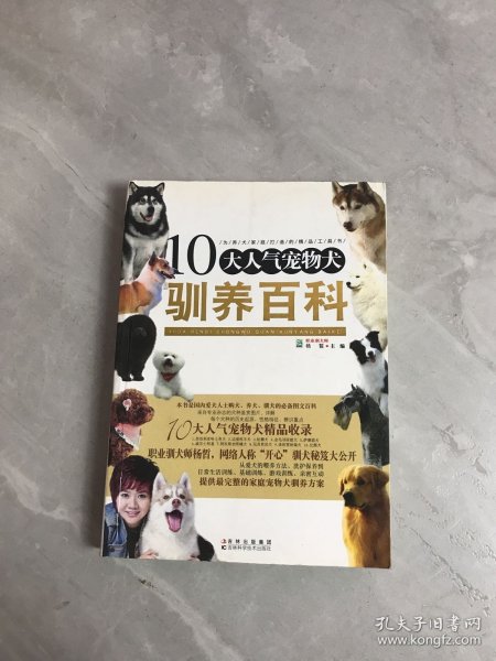 10大人气宠物犬驯养百科