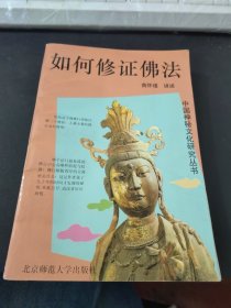 中国神秘文化研究丛书 如何修证佛法