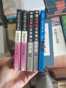 中国当代文学史 史料选 中国20世纪文学理论批评史 存在文学与文学中的存在 5册