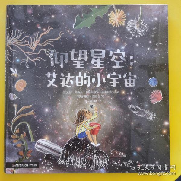 仰望星空:艾达的小宇宙