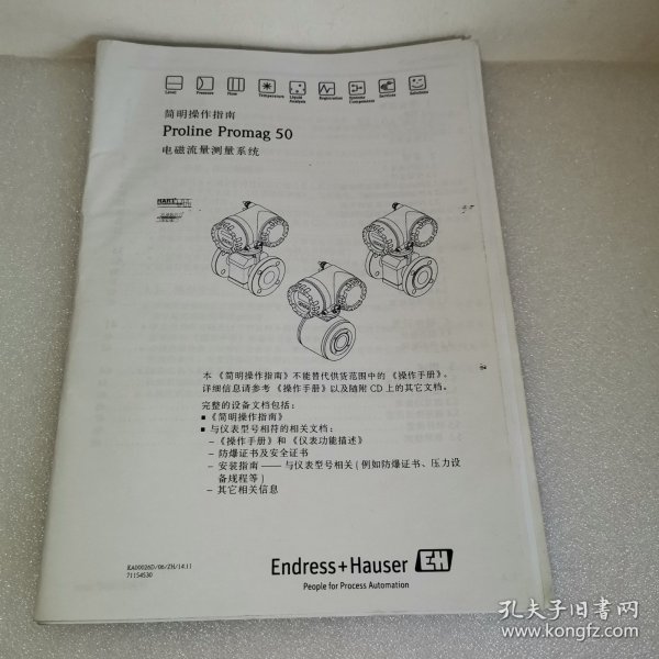 【A】Endress+Hauser 恩德斯豪斯，电磁流量测量系统Proline Promag 50简明操作指南，