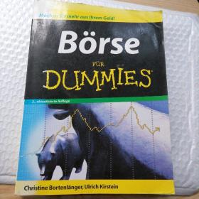 borse fur dummies