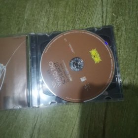 王弢 舒伯特 一张CD 一张DVD