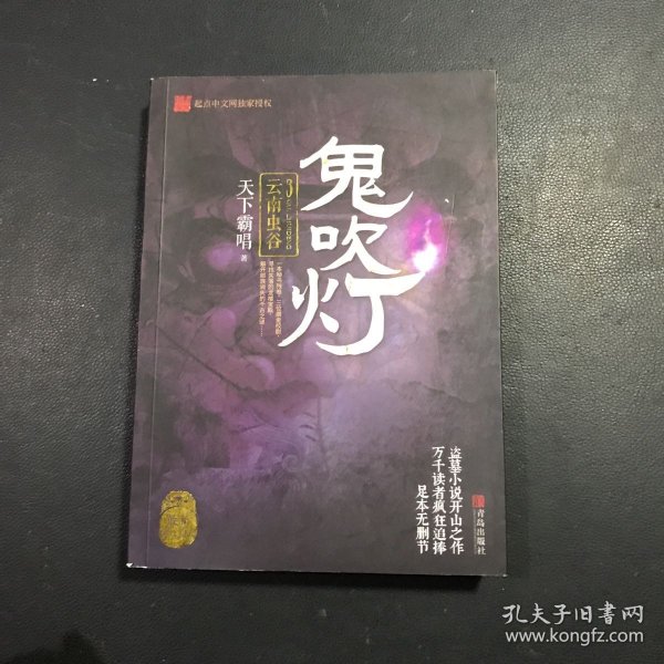 鬼吹灯3：云南虫谷