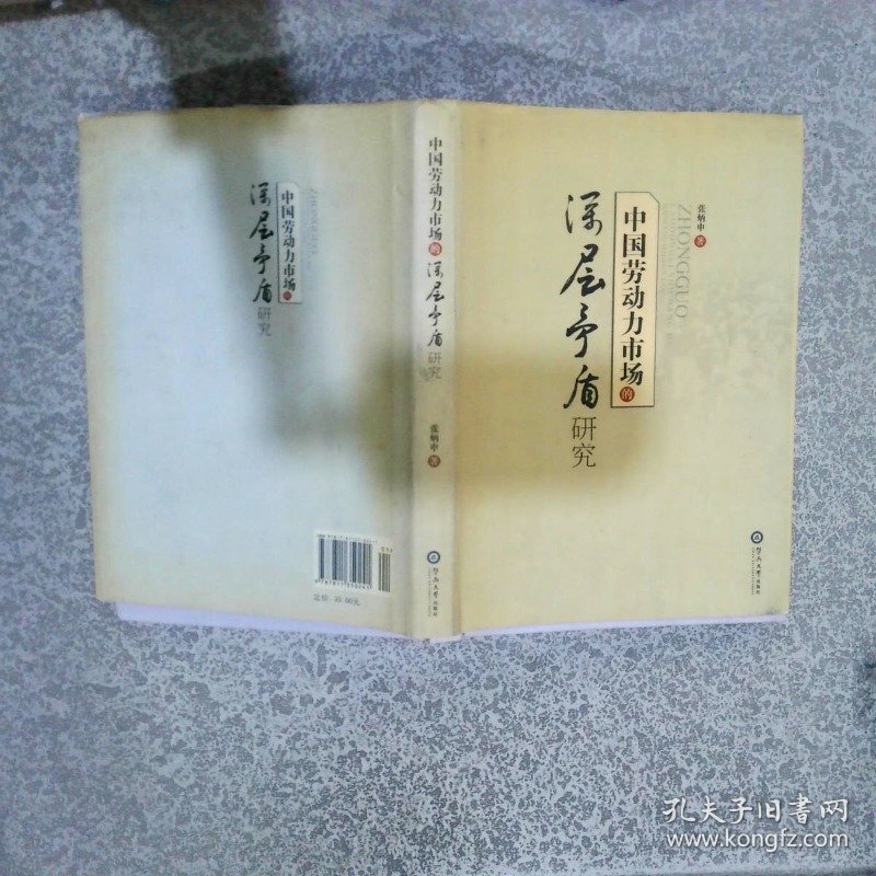 中国劳动力市场的深层矛盾研究