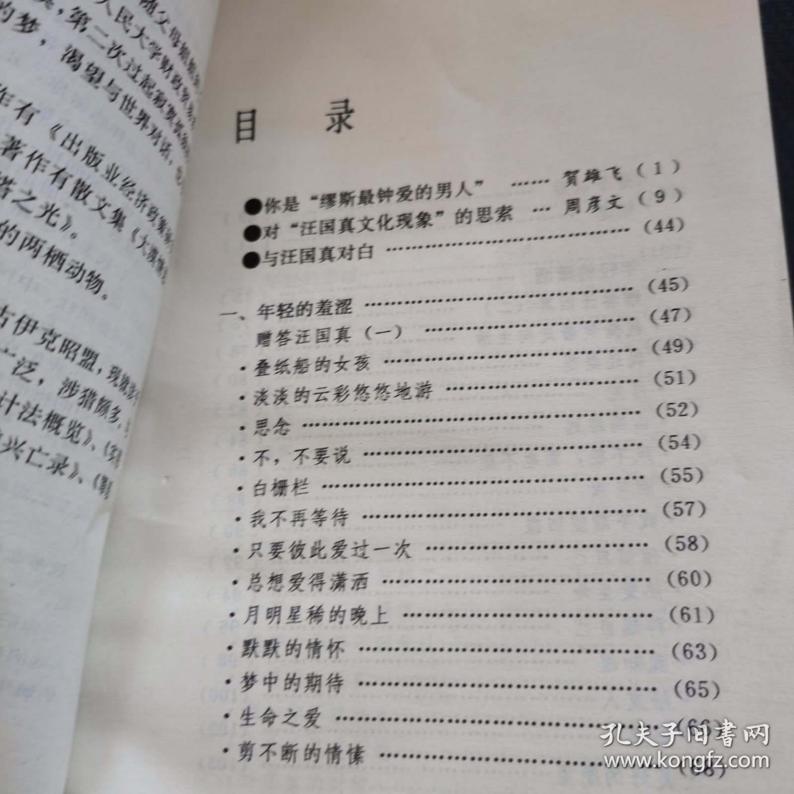 年轻的潇洒：与汪国真对白