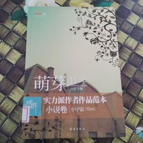 盛开萌芽11年实力派作者作品范本小说卷：小宇宙