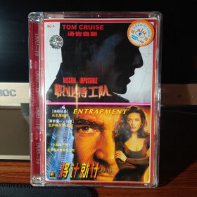 职业特工队DVD