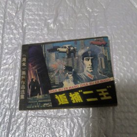 追捕“二王”