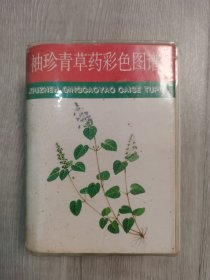 袖珍青草药彩色图谱