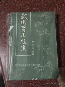 武术实用腿法，郭燕京，科学技术文献出版社，腿法类书籍，377页，8品，1990年1