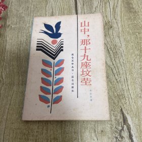 山中 那十九座坟茔