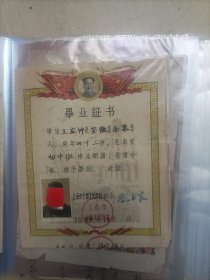 毕业证书