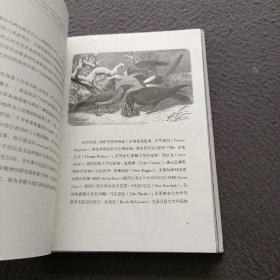 乌鸦简史:重新认识鸟类世界的智者(长销15年的科普经典,"自然""出版人周刊"等全球媒体力荐)