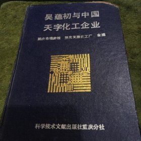 吴蓝初与中国天字化工企业