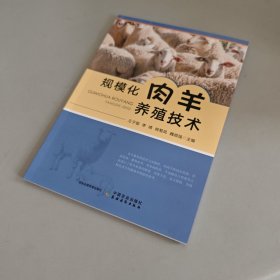 规模化肉羊养殖技术