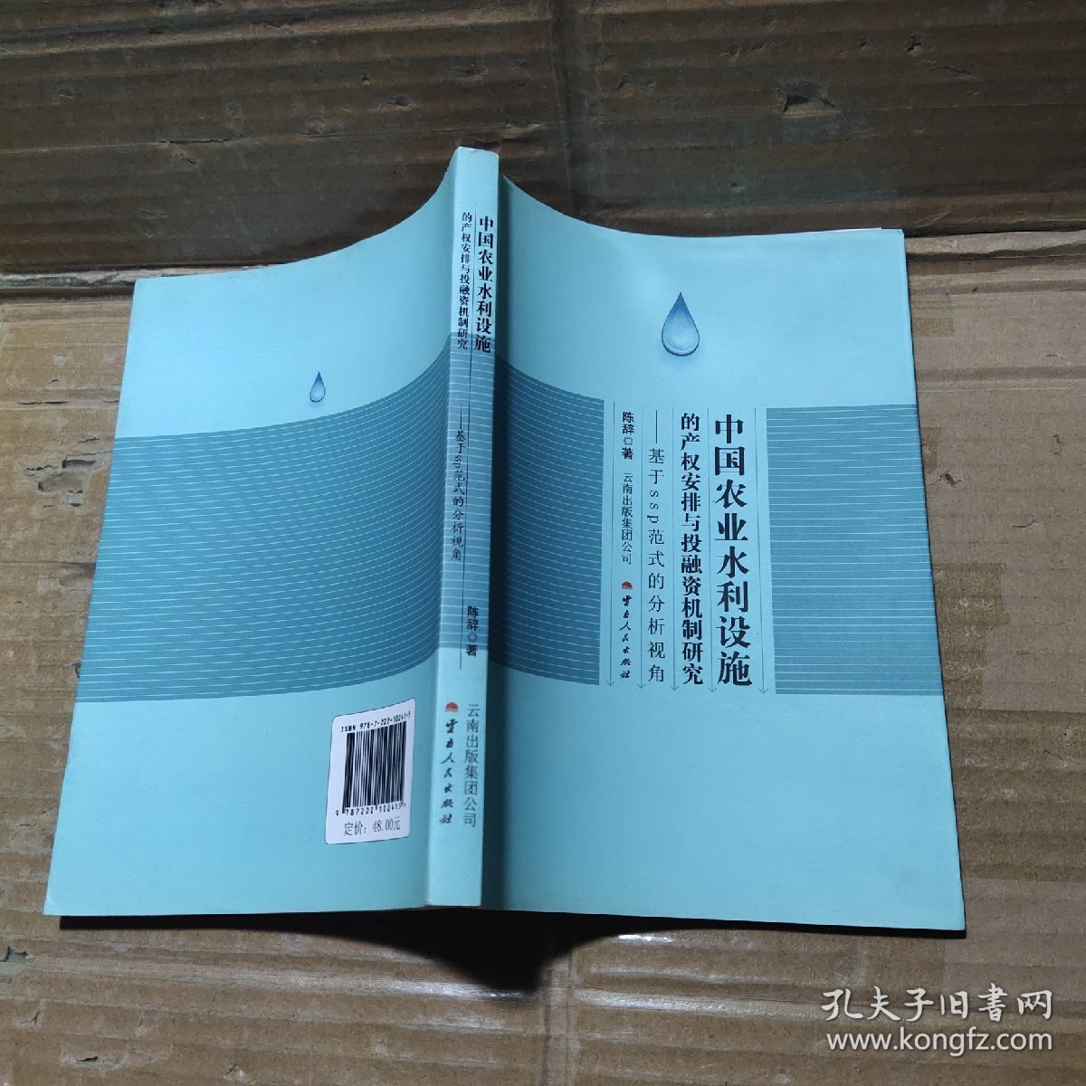 中国农业水利设施的产权安排与投融资机制研究：基于SSP范式的分析视角