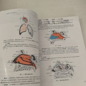 人体解剖学与组织胚胎学（供护理、临床、医学、药学、医学检验、助产等专业用 第3版） 笔记较多，介意者勿拍。，
