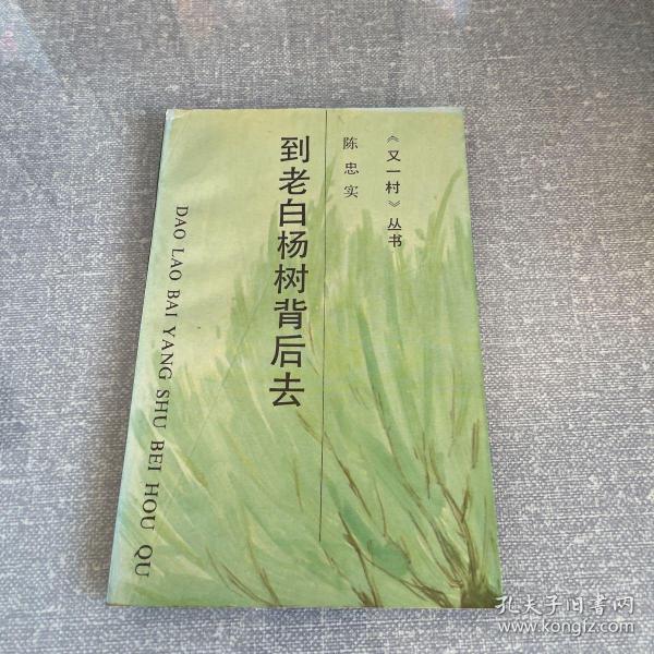 《又一村》丛书：到老白杨树背后去