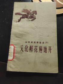 文化鲜花遍地开（山东农民歌谣选之9）