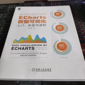 ECharts数据可视化：入门、实战与进阶