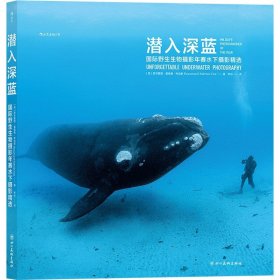 潜入深蓝：国际野生生物摄影年赛水下摄影精选