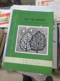 农村三级文化网探索（全国30县文化馆改革与管理研讨会第元6届年会文集）