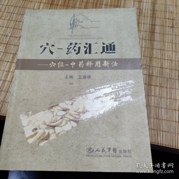 穴-药汇通：穴位-中药释用新法