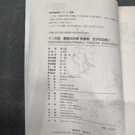 意林·轻文库·绘梦古风系列60：十二花信·霓裳风华录芙蓉篇：世子妃攻略①